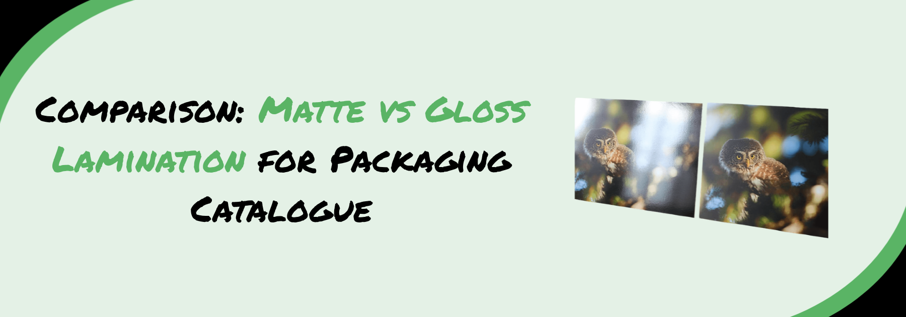 Matte vs Gloss lamination